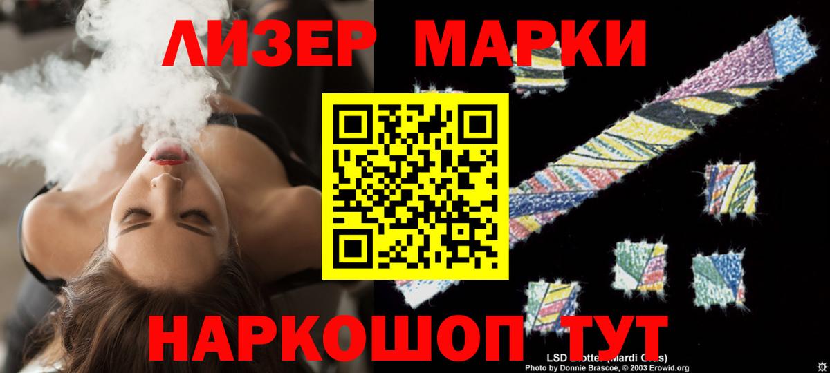 МЕГА маркетплейс  Вход с VPN  Новозыбков  ЛСД экстази  Лсд 25 экстази ecstasy  ЛСД экстази ecstasy 