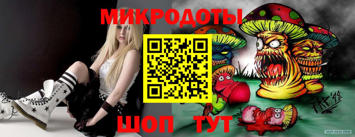 Галлюциногенные грибы прущие грибы Новозыбков