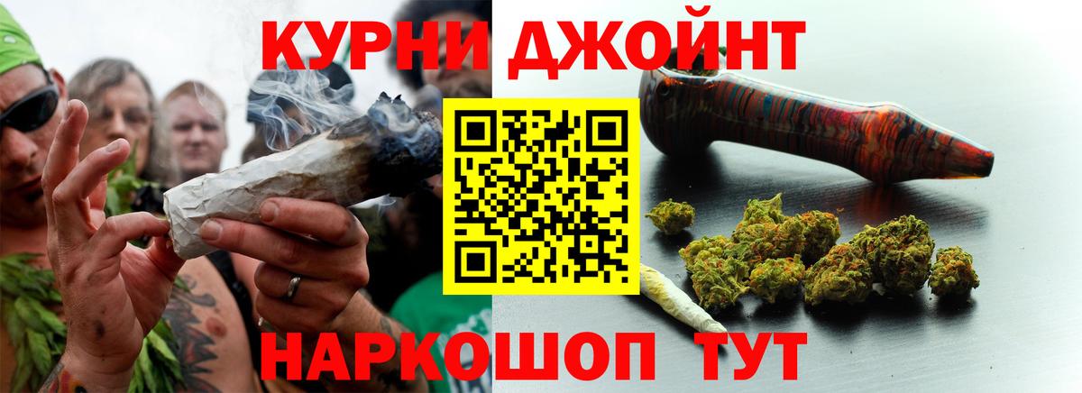 Бошки Шишки MAZAR Новозыбков